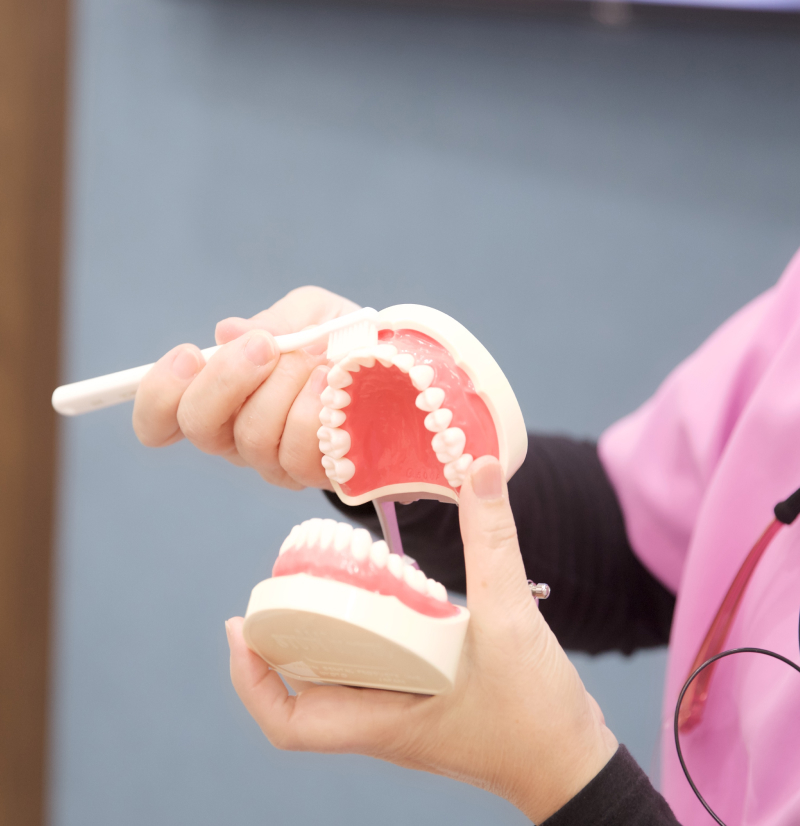 つまようじ法で、“歯ぐきから健康”を育てる